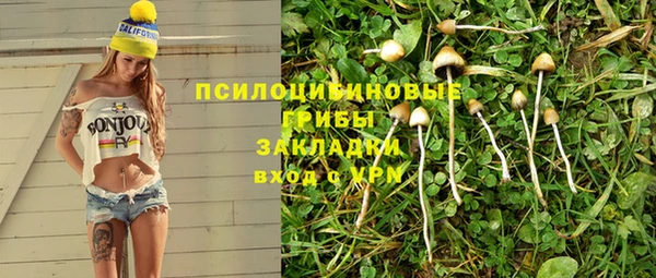 дмт Абаза