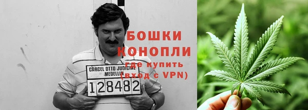 PSILOCYBIN Абдулино
