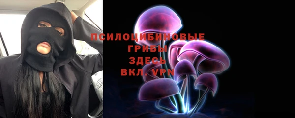 apvp Алзамай