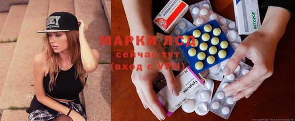 apvp Алзамай