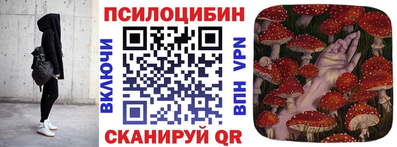 Псилоцибиновые грибы Psilocybine cubensis  цена   Мамадыш 