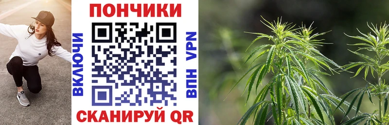 Каннабис Amnesia сколько стоит Мамадыш